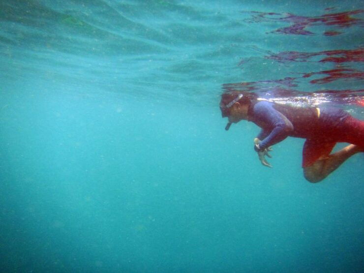 Bali: 1 Hour Snorkeling at Nusa Dua Beach - Booking Details