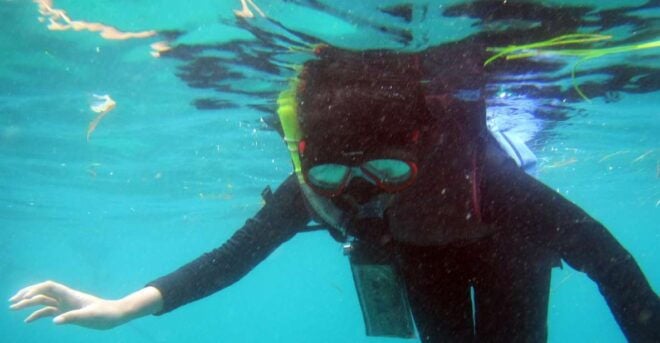 Bali: 1 Hour Snorkeling at Nusa Dua Beach - Experience Highlights