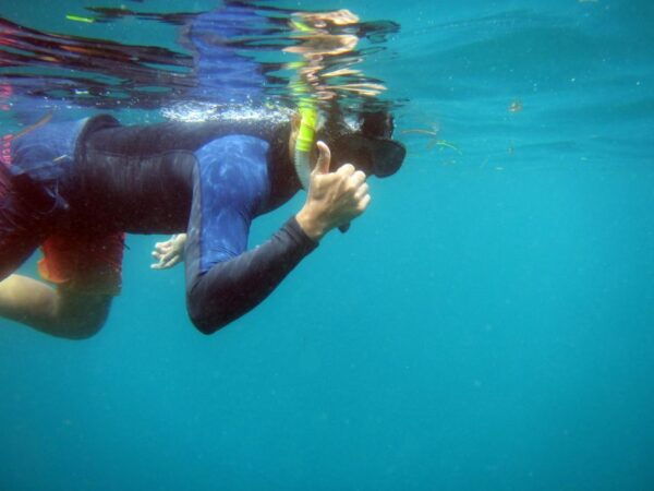 Bali: 1 Hour Snorkeling at Nusa Dua Beach - Pickup and Arrival Instructions
