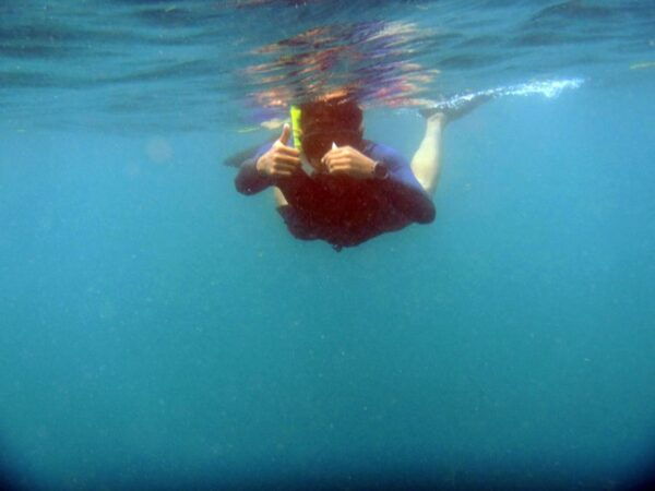 Bali: 1 Hour Snorkeling at Nusa Dua Beach - Common Questions