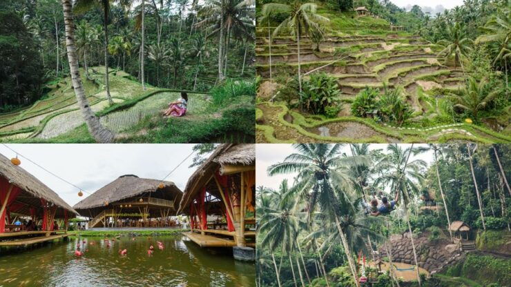 Bali: 10 Hours Trip Kuta/Denpasar/Nusa Dua/ Ubud/ Kintamani. - Activity Details