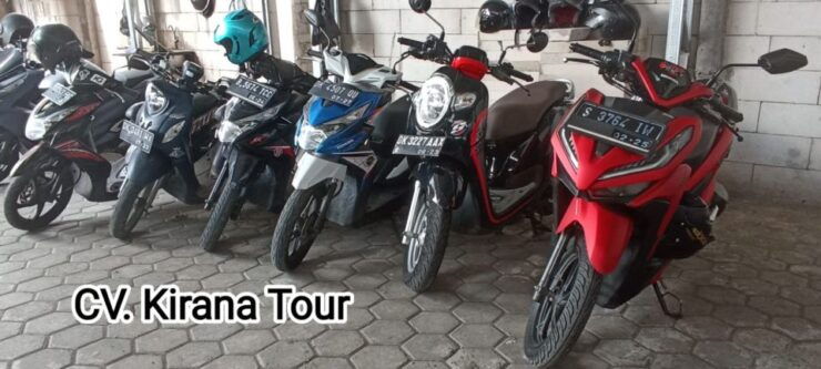 Bali: 2-7 Day 110cc or Nmax 155cc Scooter Rental - Booking Details