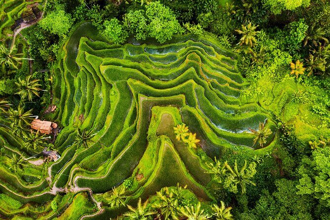 Bali 2 Days All-Inclusive Nusa Penida and Ubud Package - Frequently Asked Questions