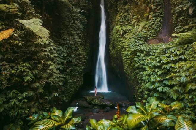 Bali: 2-Days Tour to Top Tourist Destinations. - Activity Experience