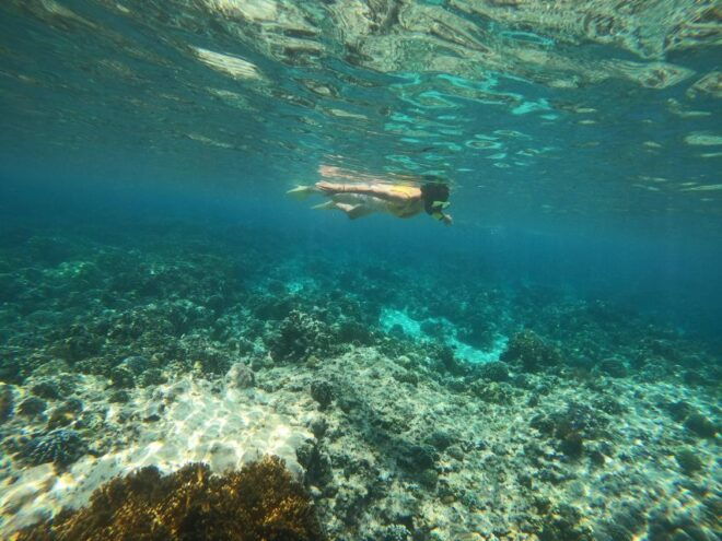 Bali: 2 Spot Snorkeling, The Monkey Bar & Best Waterfalls - Lunch Venue Details