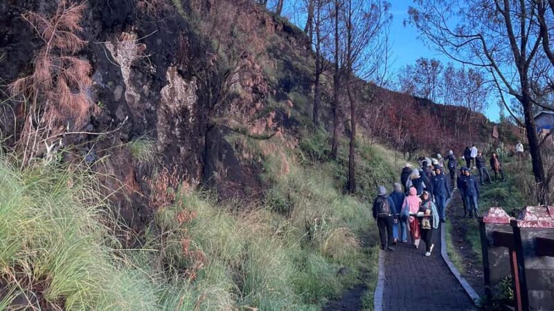 Bali: 2day 1night Bromo Sunrise tour - What to Expect: Transportation, Guides, and Comfort