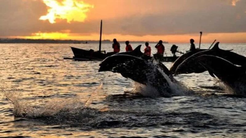 Bali: 3-Day North Bali Tour with Dolphin Watching - Logistics and Practicalities