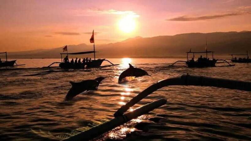 Bali: 3-Day North Bali Tour with Dolphin Watching - Authenticity and Value