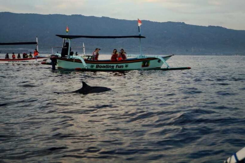 Bali: 3-Day North Bali Tour with Dolphin Watching - FAQ