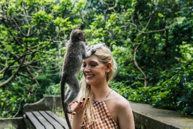 Bali: 3-Day Private Tour With Temples, Waterfalls & More - Day 3 Itinerary Highlights