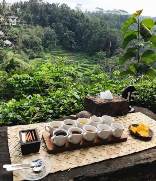 Bali : 3 Days Nature Explore With Fun & Cultural Activities - Questions You May Have
