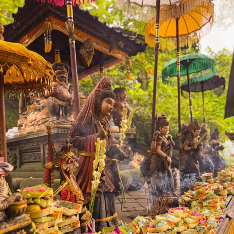 Bali: 350cc ATV Ride & Taman Beji Griya Purification Ritual - The Sum Up: Who Is This Tour Best For?