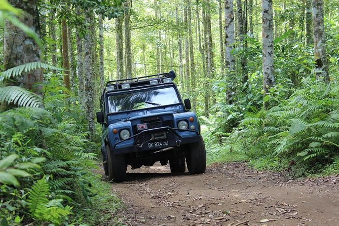 Bali 4WD Adventure - Overview and Activities