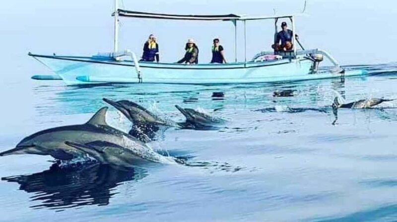 Bali: 5-Day North Bali Coastal Wine & Dolphin Tour Package - Good To Know