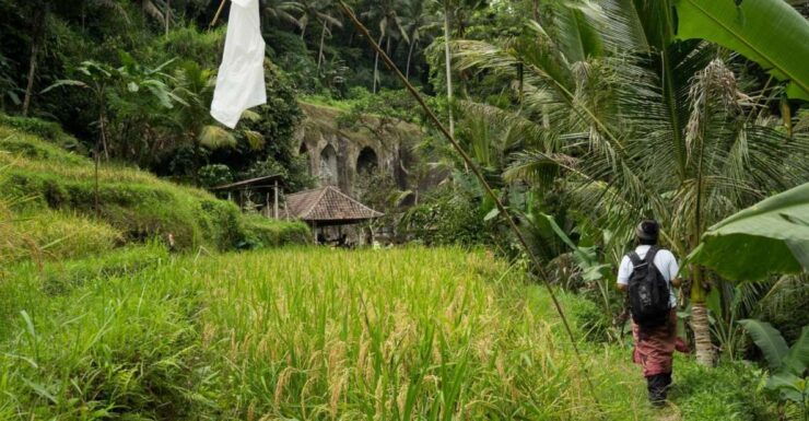 Bali: 6-Hour UNESCO Sites Cultural Walking Tour - Experience and Highlights