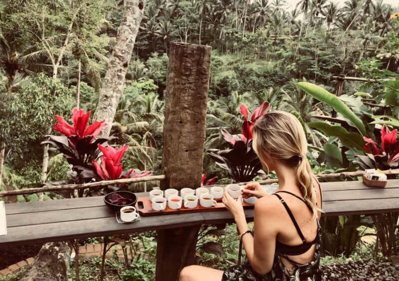 Bali: A Full-Day Tour to Goa Raja, Tibumana and Tukad Cepung - FAQ  