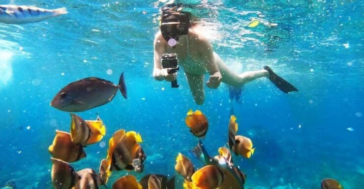 Bali Activities: Snorkeling at Blue Lagoon and Tanjung Jepun - Activity Details