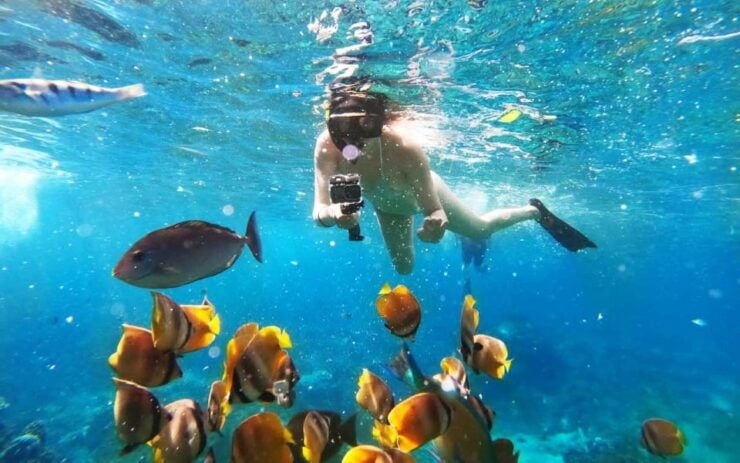 Bali Activities: Snorkeling at Blue Lagoon and Tanjung Jepun - Booking Information