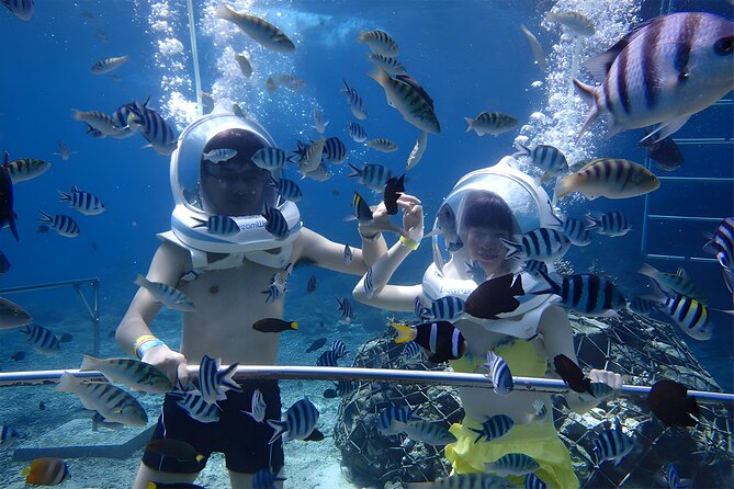 Bali Activity: Bali Sea Walking in Nusa Dua Ocean - Pricing and Booking Details