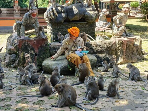 Bali: Adrenaline Fun Youtuber Feeding Monkey on Your Body - Restrictions and Limitations