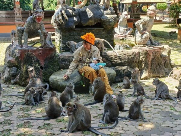 Bali: Adrenaline Fun Youtuber Feeding Monkey on Your Body - Questions You May Have