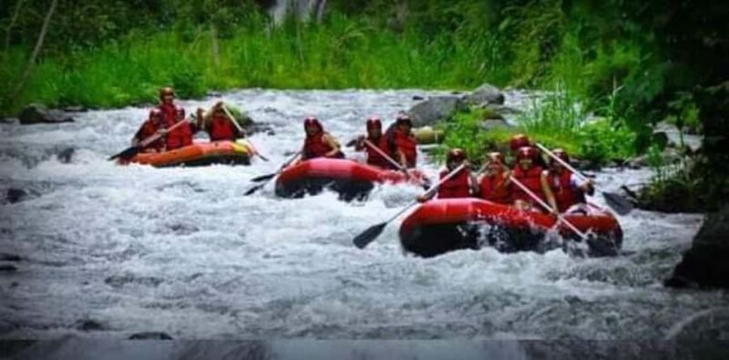 Bali Adventure: Best of White River Rafting All inclusive - Exploring the Rivers: What to Expect