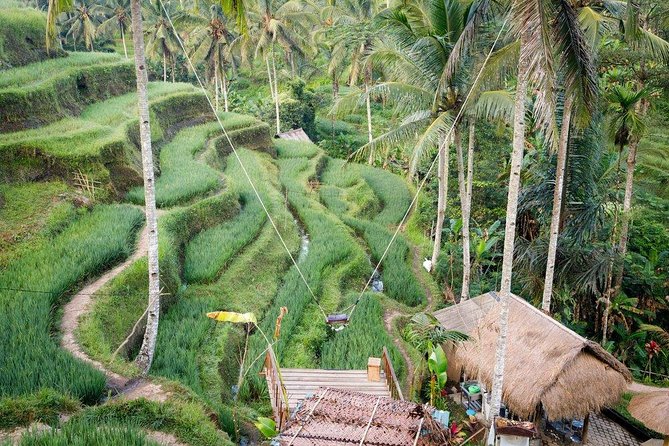 Bali Adventures: Water Rafting -Jungle Swing-Rice Terraces - Rafting in Bali