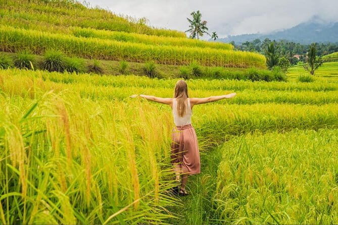 Bali Airport from or to Seminyak/Canggu/Sanur/NusaDua/Uluwatu - FAQ  