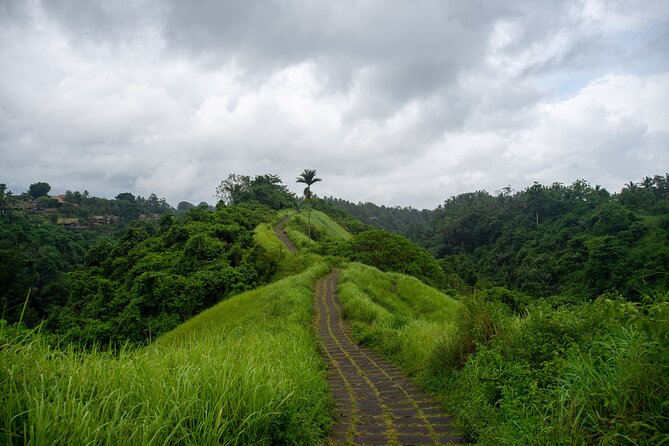 Bali Airport Pickup Transfer to Ubud Area (Private) - Service Details