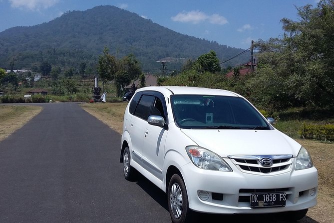 Bali Airport to Hotel-Private Arrival Transfer - Pricing and Booking Details
