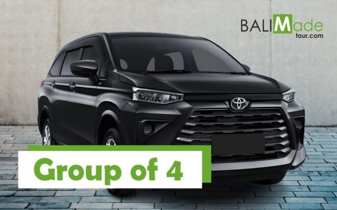 Bali Airport Transfer: Ngurah Rai International Airport(DPS) - Convenience and Comfort