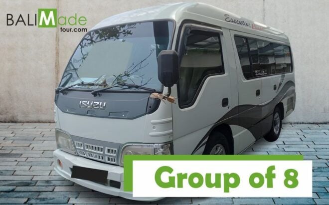 Bali Airport Transfer: Ngurah Rai International Airport(DPS) - Hassle-free Return to the Airport