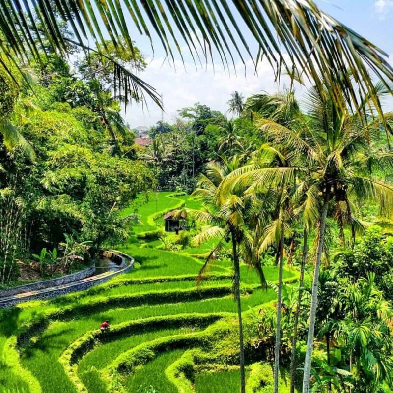 Bali: Akasa Cafe, Waterfalls, Gunung Kawi Temple tour - Who Should Consider This Tour?