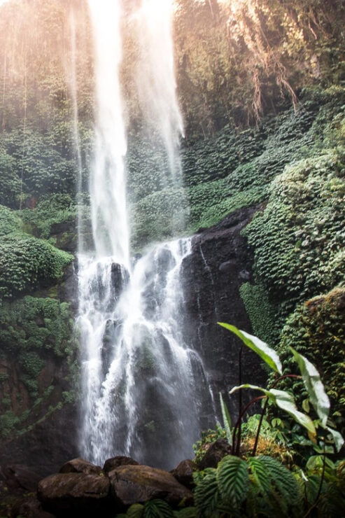 Bali: Aling Aling Waterfall and Sekumpul Waterfall Tour - Highlights of the Waterfalls