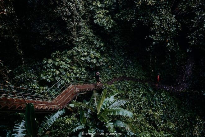 Bali: Aling Aling Waterfall and Sekumpul Waterfall Tour - Guided Experience Insights