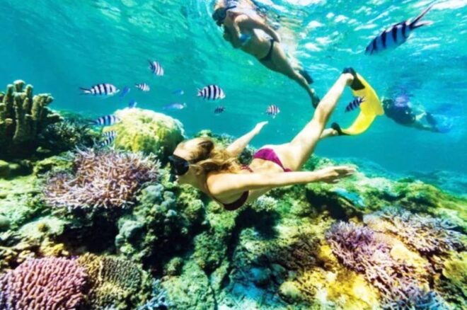 Bali: All-Inclusive Blue Lagoon Snorkeling & Waterfall Tour - Activity Highlights