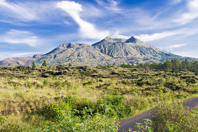 Bali: All Inclusive in Kintamani Private Tour - Pickup and Drop-off