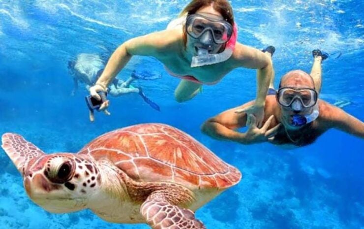 Bali: All-Inclusive Snorkeling at Blue Lagoon Beach - Activity Details