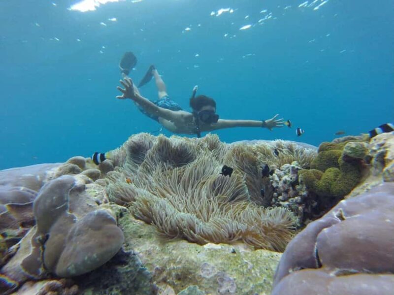 Bali: All-Inclusive Water Sports & Mangrove - Is It Worth the Price?