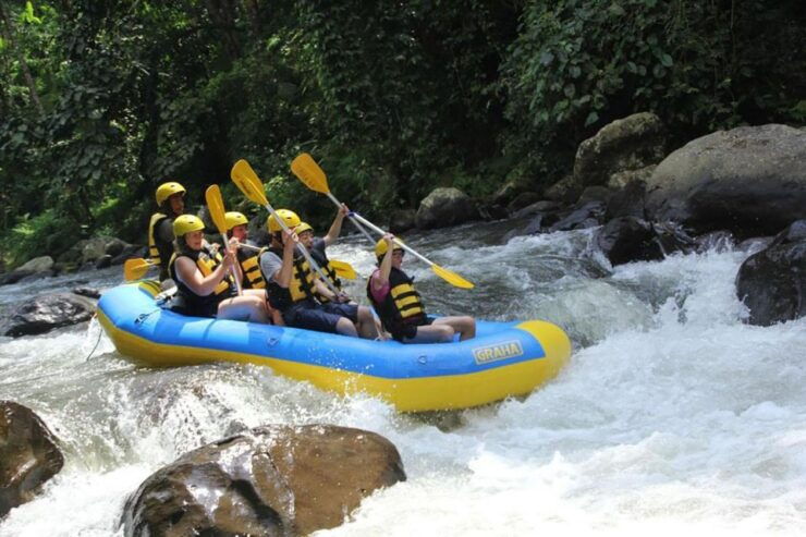 Bali: All-Inclusive White Water Rafting Adventure in Ubud - Experience Highlights