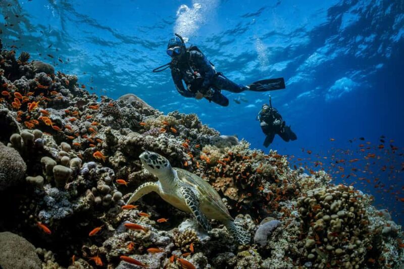 Bali, Amed: Advanced Open Water Course with Kayak Adventure - Bali, Amed: Advanced Open Water Course with Kayak Adventure — A Complete Review