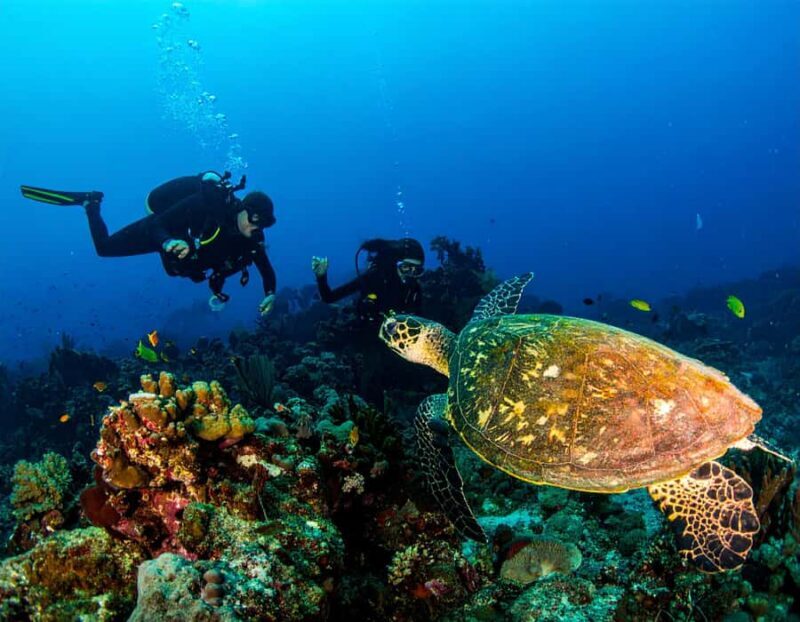 Bali, Amed: Deep Diver Speciality Course and Kayak Trip - What to Expect From the Equipment and Service