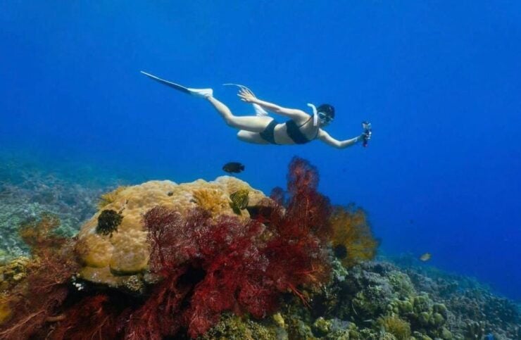 Bali: Amed, Jemeluk & Lipah Beach Snorkeling Adventure - Activity Details