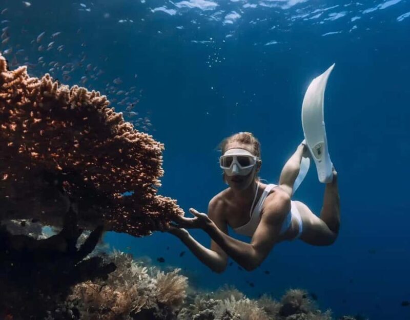 Bali/Amed: Underwater Temple Snorkeling Experience - Who Should Consider This Tour?