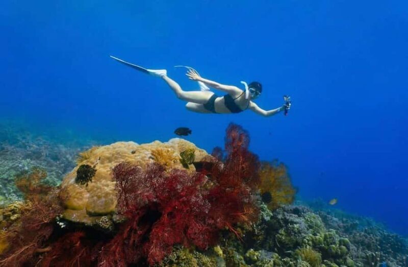 Bali/Amed: Underwater Temple Snorkeling Experience - Good To Know  