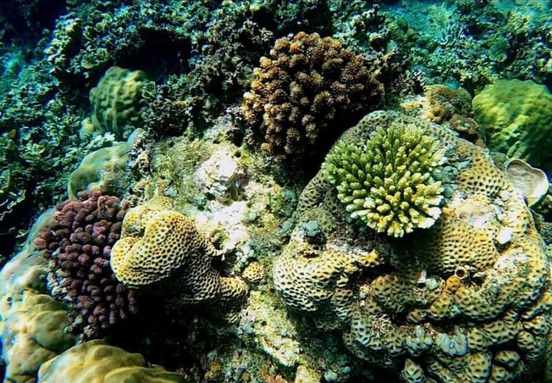 Bali/Amed: Underwater Temple Snorkeling Experience - Who is this tour perfect for?  