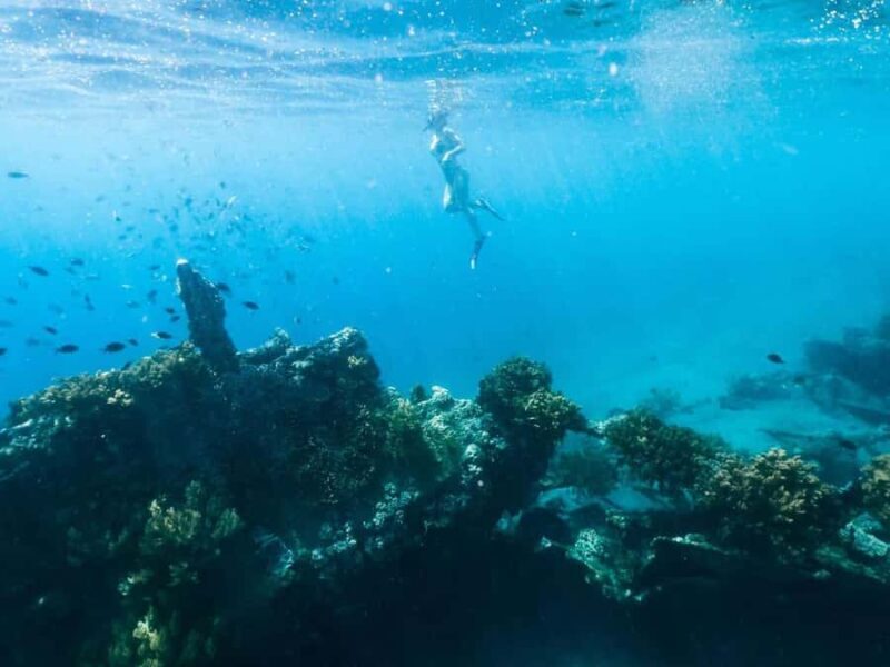 Bali/Amed: Underwater Temple Snorkeling Experience - FAQ