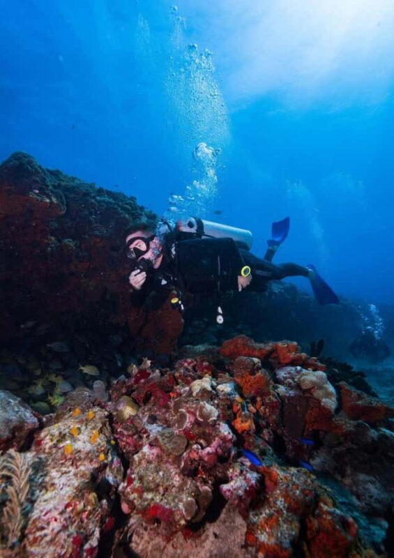 Bali, Amed: Wreck Diver Specialty & Kayak Adventure - Who Should Consider This Tour?