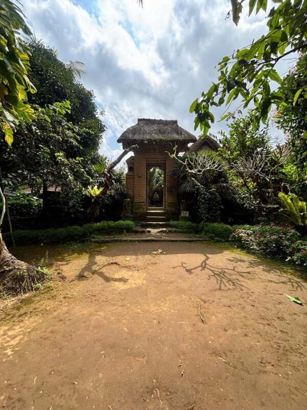 Bali: Ancient Balinese Houses and Mengening Temple Tour - An In-Depth Look at the Tour Experience