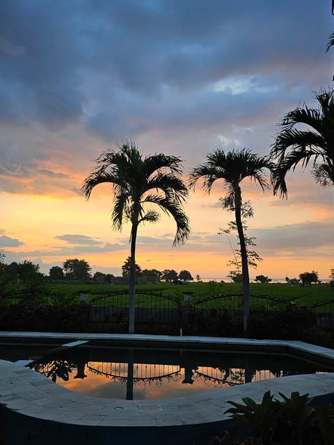 Bali: Aqua Healing Lovina Unique Body Experience - Key Points